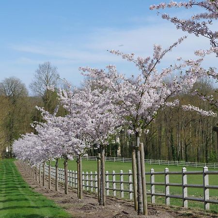 Le Domaine De Prin Bed & Breakfast Serzy-et-Prin Bagian luar foto